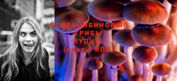 сатива Снежинск