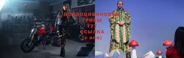 a pvp Алзамай