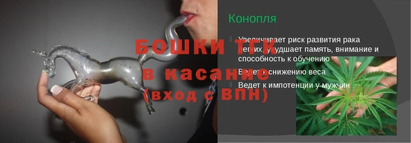 дмт Снежногорск