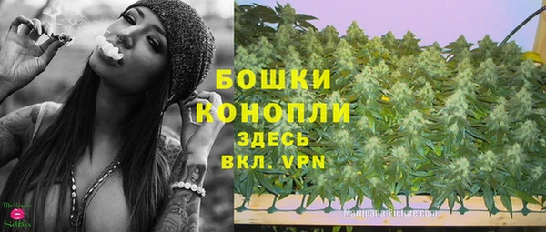 дмт Снежногорск