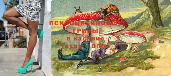 сатива Снежинск