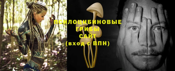 дмт Снежногорск