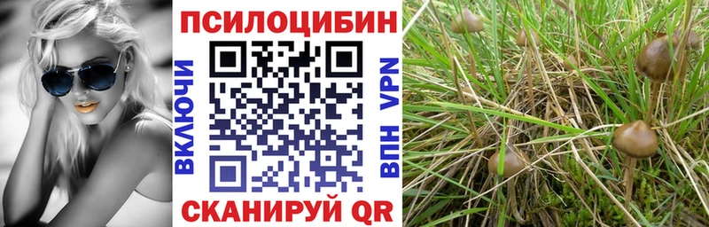 Псилоцибиновые грибы Psilocybine cubensis  MEGA маркетплейс  Горбатов 